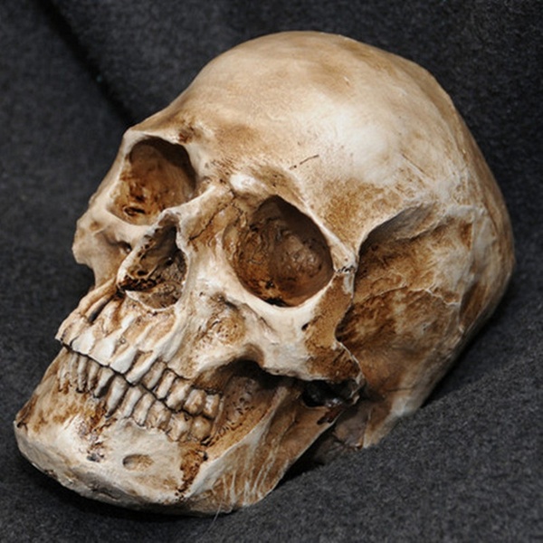 CRANIO Modelo de resina de réplica de crânio humano retro realista realista 1: 1 FRETE GRSTIS