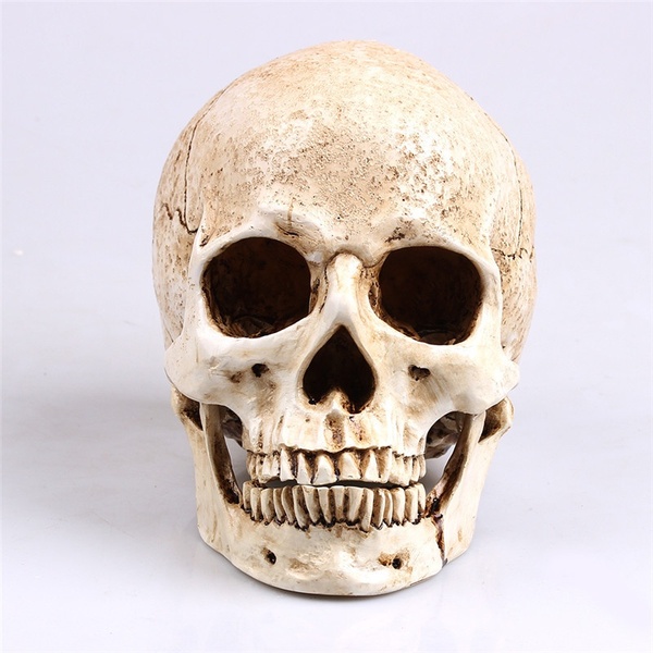 CRANIO 1 pc Resina Modelo de Réplica de Crânio Humano Esqueleto Realista Artesanato Decoração em Tamanho Real 1: 1 FRETE GRATIS